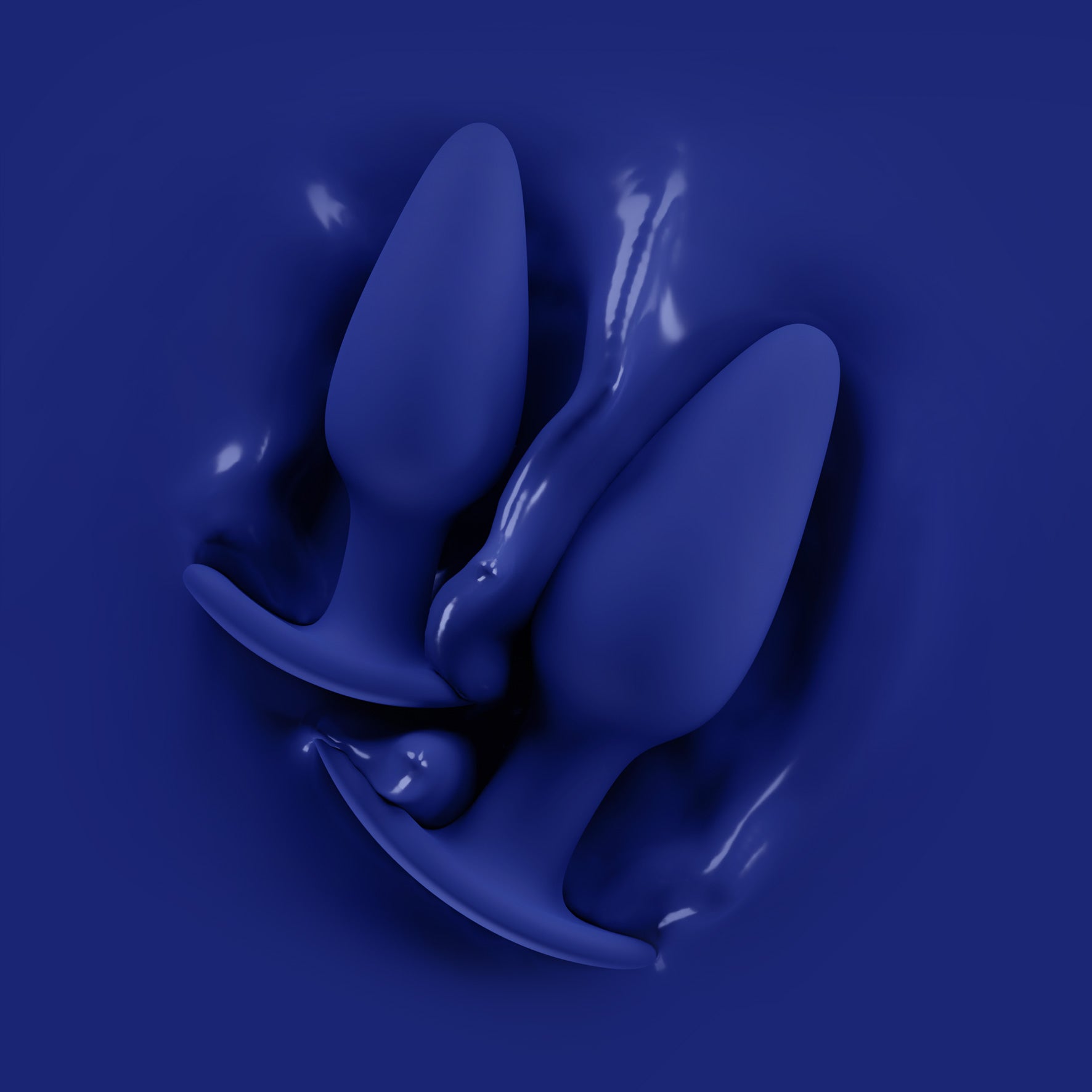 Biird Regii 2-Piece Blue Anal Plug Set | Melody's Room