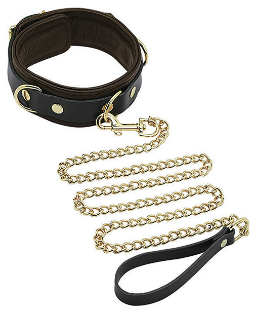 Brown Leather Collar & Leash w/Gold Accent Hardware - Melody's Room BDSM