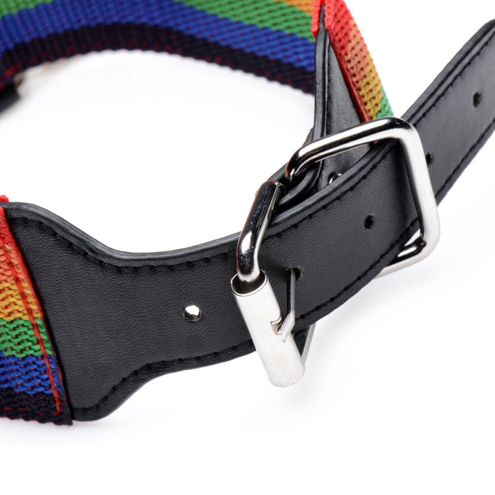 Master Series Kinky Pride Rainbow Wrist & Ankle Cuffs Bondage Set | Melody's Room